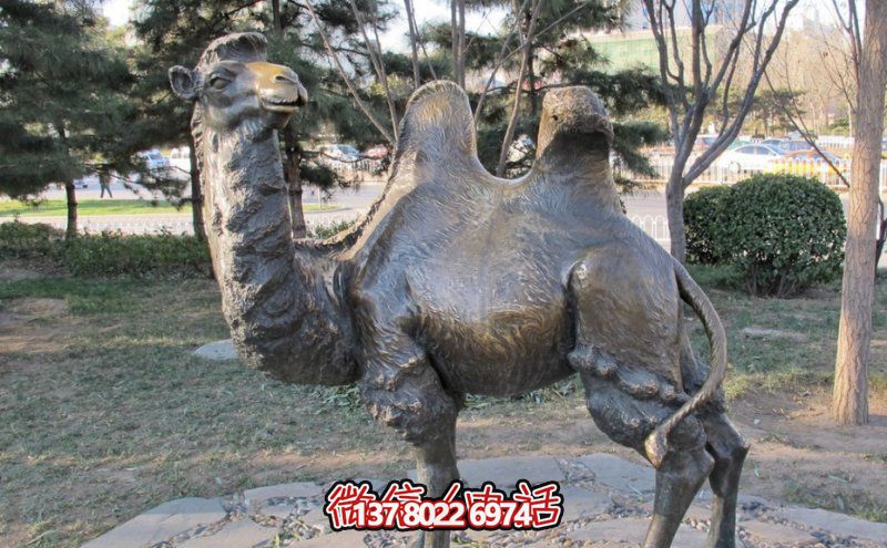 創(chuàng)意大型玻璃鋼駱駝雕塑，在草地上擺放，一眼回頭